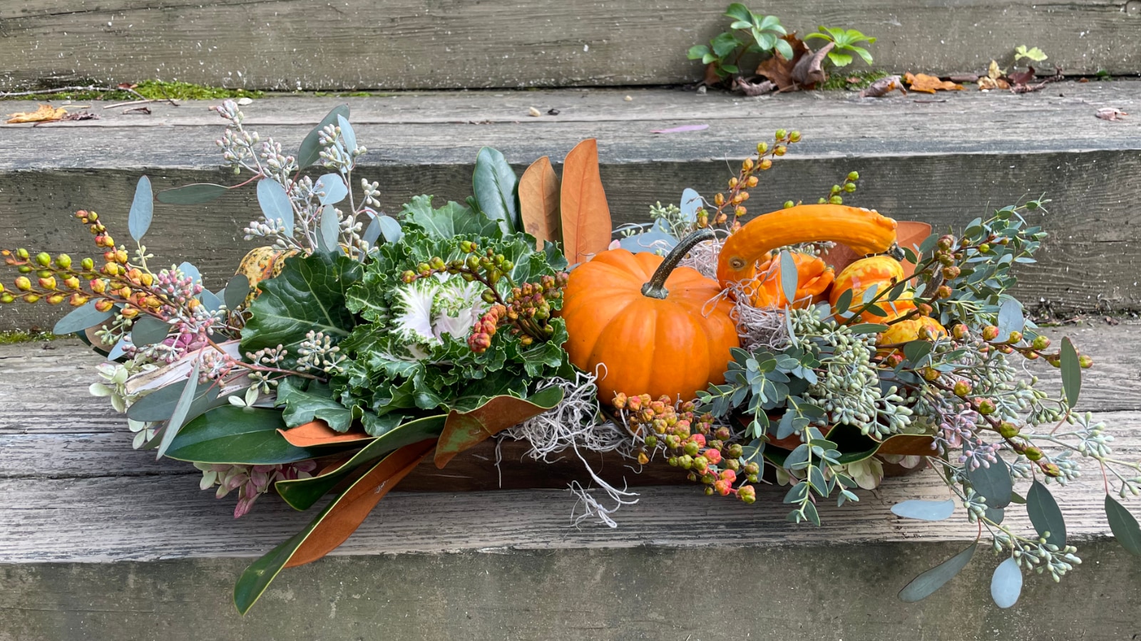 Seasonal 1