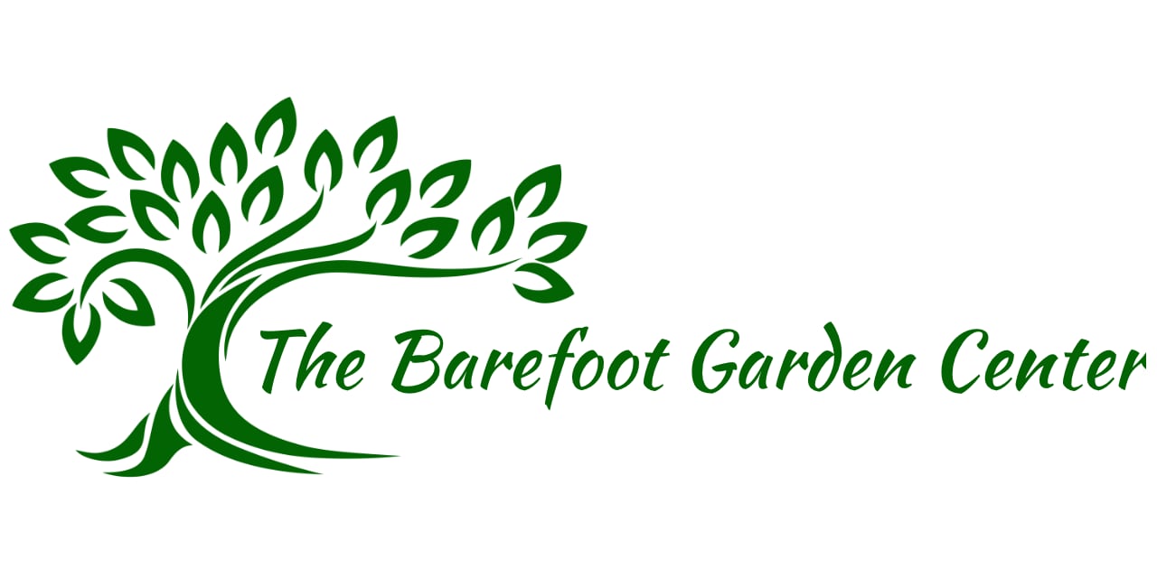 Natives The Barefoot Gardener natives-the-barefoot-gardener